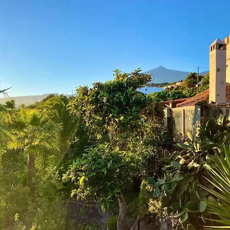 Tenerife - Cozy Mit Traumblick & Tropischem Garten Icod De Los Vinos