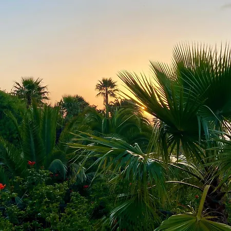 Appartement Tenerife - Cozy Mit Traumblick & Tropischem Garten Icod De Los Vinos