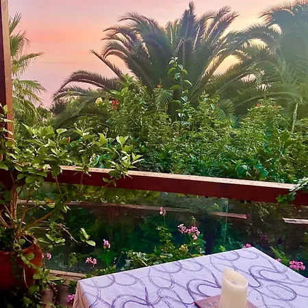 Tenerife - Cozy Mit Traumblick & Tropischem Garten