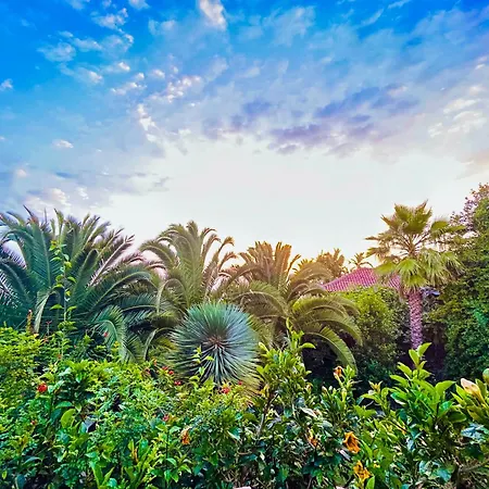 Tenerife - Cozy Mit Traumblick & Tropischem Garten Apartamento *