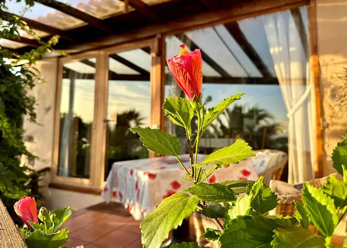 Tenerife - Cozy Mit Traumblick & Tropischem Garten Apartament *