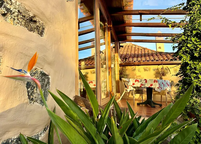 Tenerife - Cozy Mit Traumblick & Tropischem Garten Apartament Icod De Los Vinos