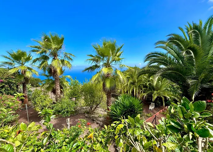 Tenerife - Cozy Mit Traumblick & Tropischem Garten Apartamento Icod De Los Vinos