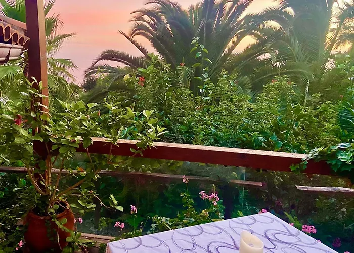 Tenerife - Cozy Mit Traumblick & Tropischem Garten