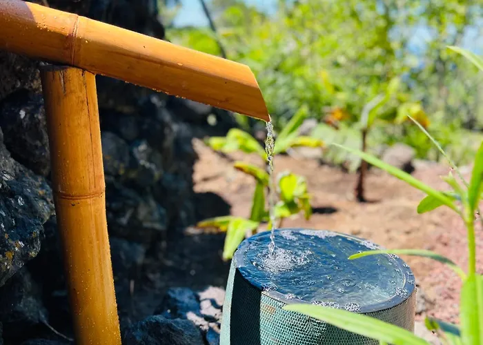 Tenerife - Cozy Mit Traumblick & Tropischem Garten * Icod De Los Vinos