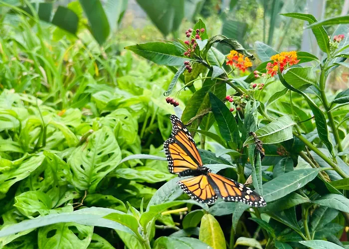 Tenerife - Cozy Mit Traumblick & Tropischem Garten Apartamento *