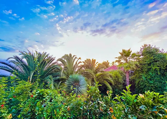 Tenerife - Cozy Mit Traumblick & Tropischem Garten Apartamento *