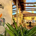 Tenerife - Cozy Mit Traumblick & Tropischem Garten Apartmán Icod De Los Vinos