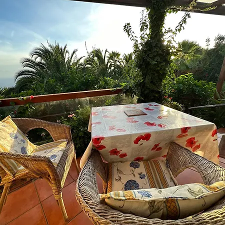 Tenerife - Cozy Mit Traumblick & Tropischem Garten Apartament Icod De Los Vinos
