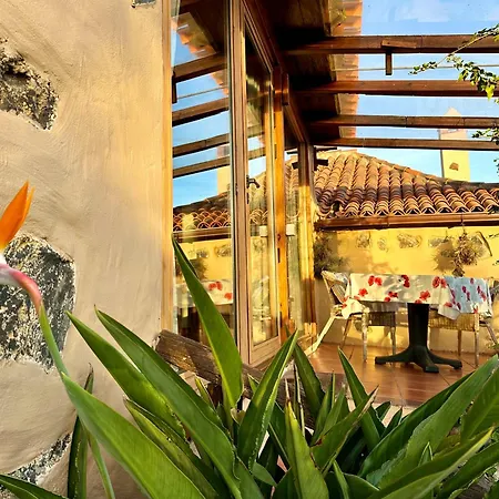 Tenerife - Cozy Mit Traumblick & Tropischem Garten Apartament Icod De Los Vinos