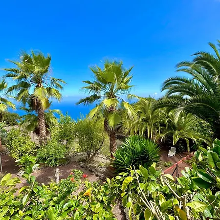 Tenerife - Cozy Mit Traumblick & Tropischem Garten Daire Icod De Los Vinos