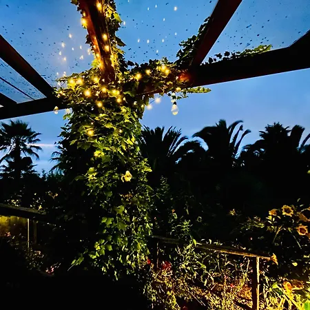 شقة Tenerife - Cozy Mit Traumblick & Tropischem Garten *