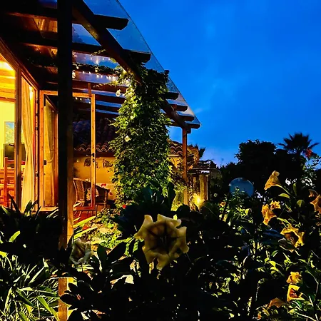 Tenerife - Cozy Mit Traumblick & Tropischem Garten شقة *