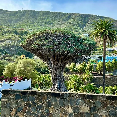 Tenerife - Cozy Mit Traumblick & Tropischem Garten Apartman Icod de los Vinos