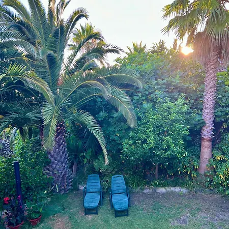Tenerife - Cozy Mit Traumblick & Tropischem Garten * Icod De Los Vinos