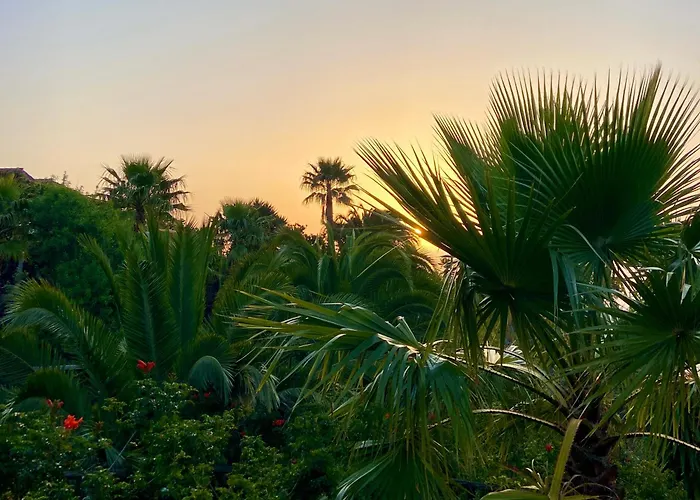 Apartman Tenerife - Cozy Mit Traumblick & Tropischem Garten Icod de los Vinos