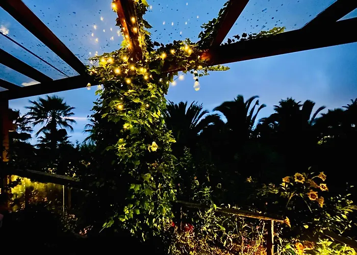 Apartman Tenerife - Cozy Mit Traumblick & Tropischem Garten *