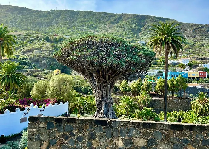 Tenerife - Cozy Mit Traumblick & Tropischem Garten Apartman Icod de los Vinos